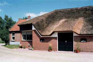 Schapenboerderif